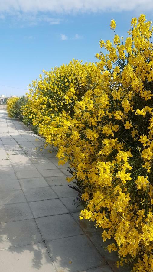 Lilium In B&B Gela Zewnętrze zdjęcie